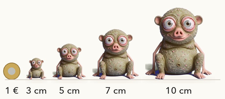 Comparación de tamaños: Flomp en 3, 5, 7 y 10 cm junto a una moneda de 1 euro